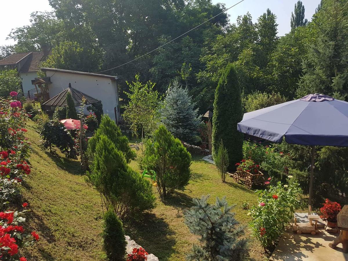 Skriveni Raj Apartment Vrdnik Room photo
